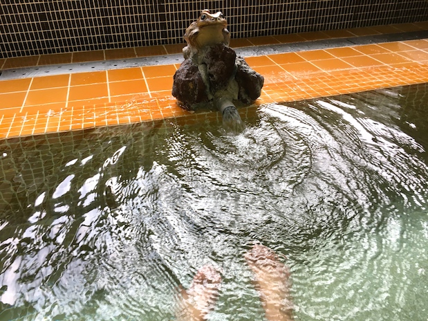 湯ヶ島温泉「河鹿の湯」